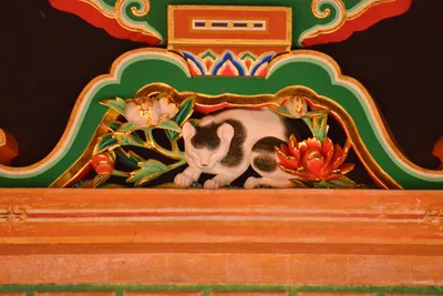 DSC_3881 (Large).JPG